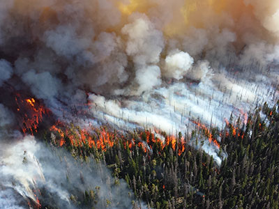 Yellowstone National Park fire