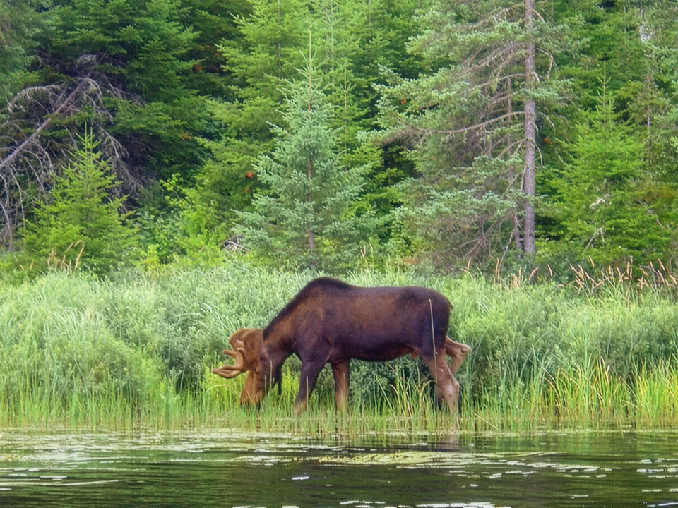 © briandjan607/flickr